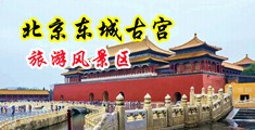 逼水好多,想日逼视频中国北京-东城古宫旅游风景区